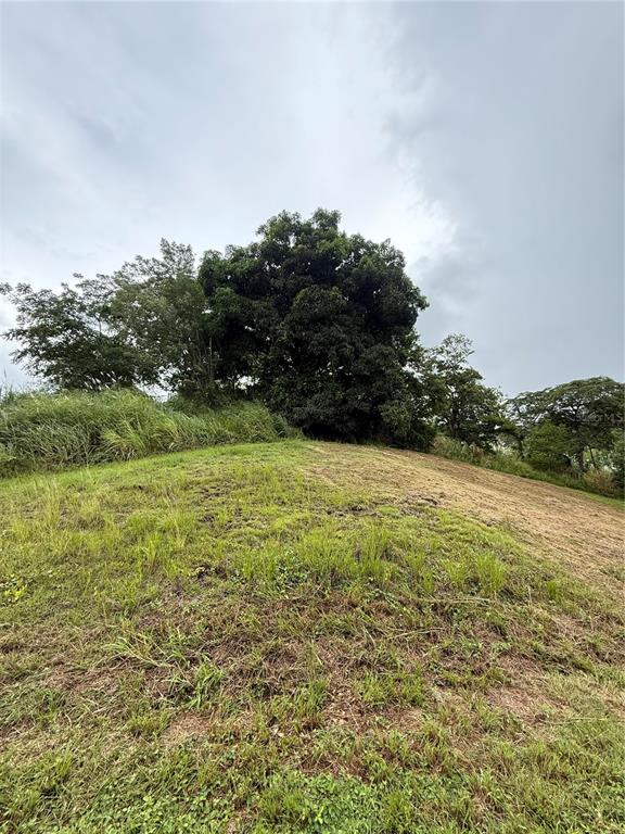 Route 159, Corozal - 2