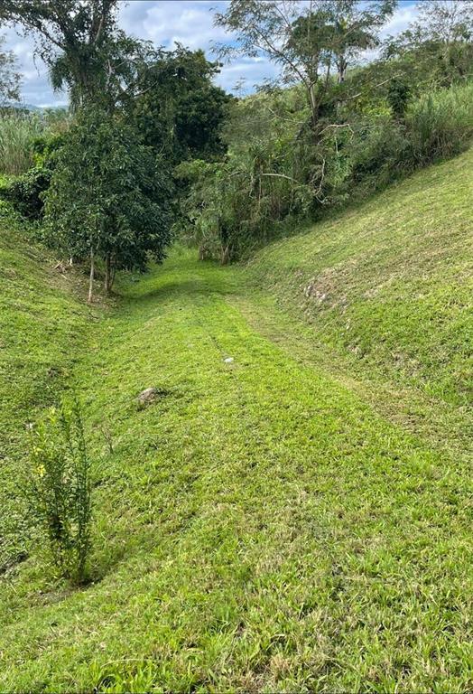 Route 159, Corozal - 21