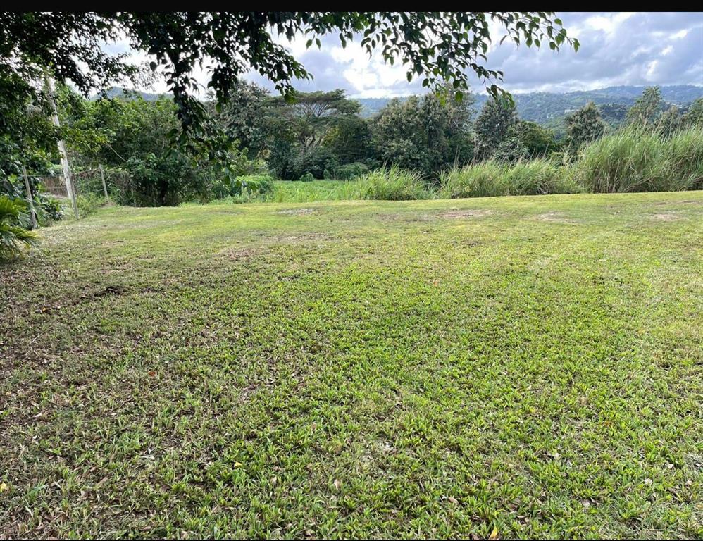 Route 159, Corozal - 23