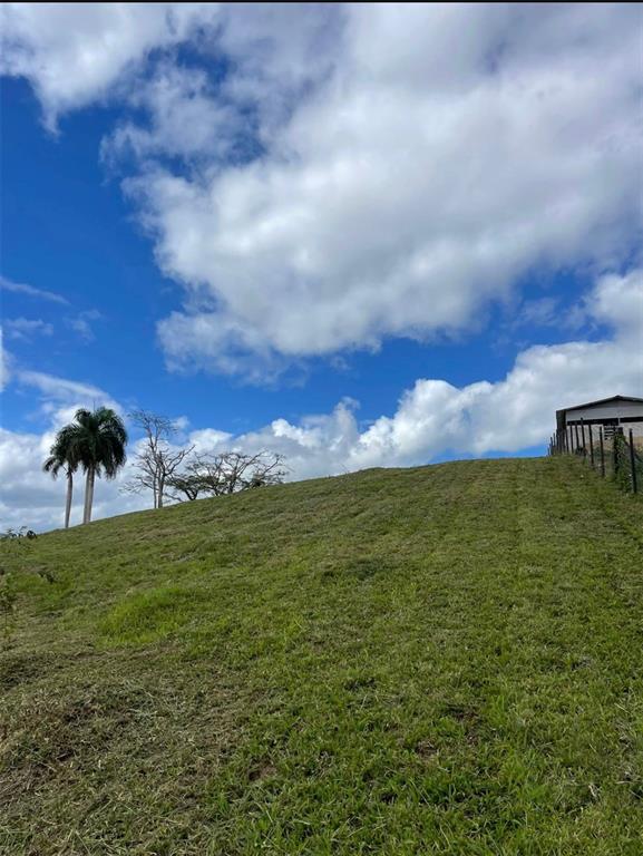 Route 159, Corozal - 24