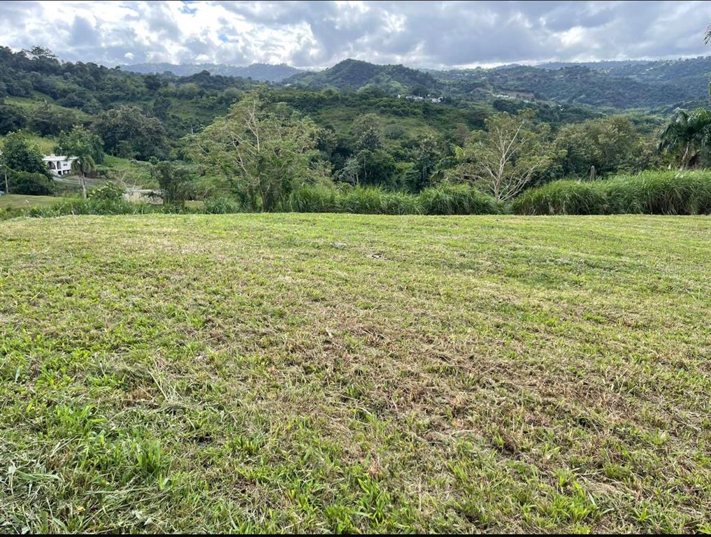 Route 159, Corozal - 25