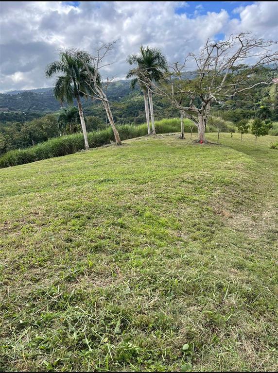 Route 159, Corozal - 26