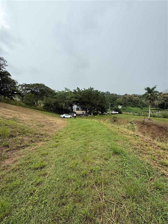 Route 159, Corozal - 3