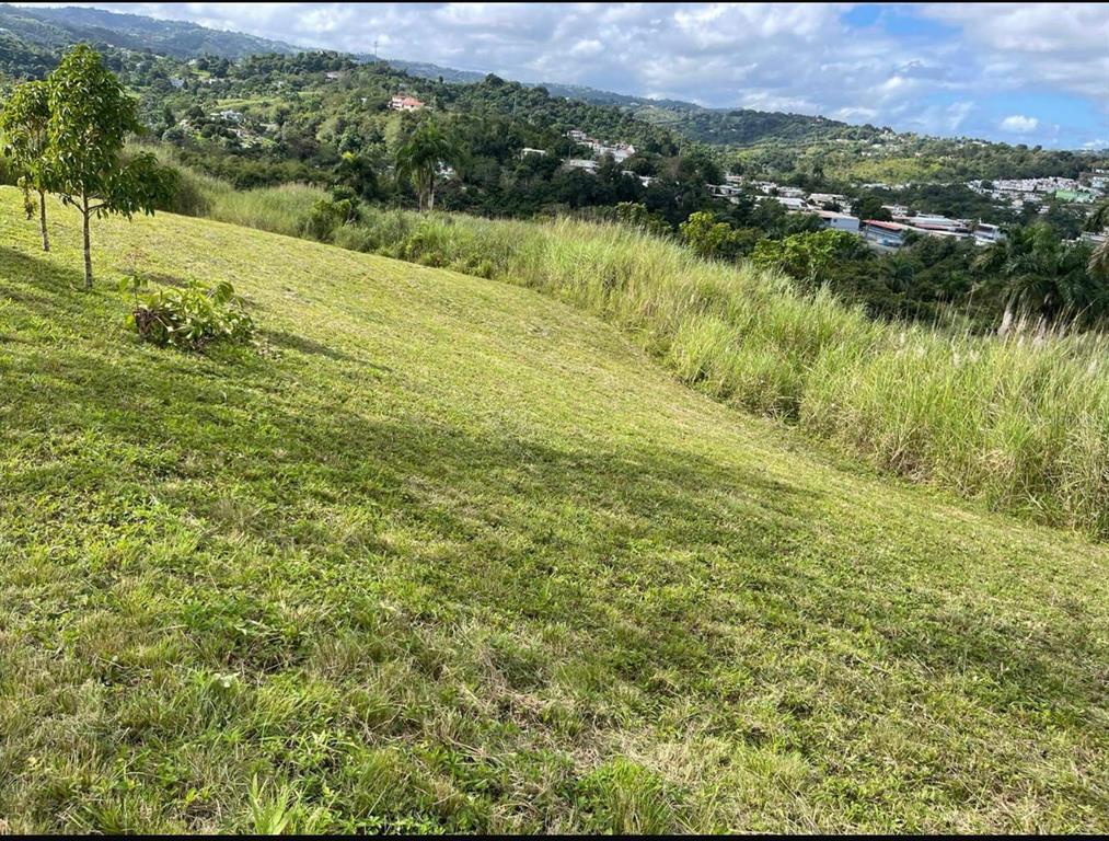 Route 159, Corozal - 30