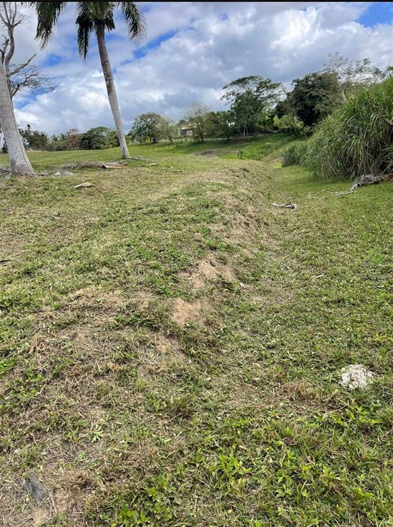 Route 159, Corozal - 31