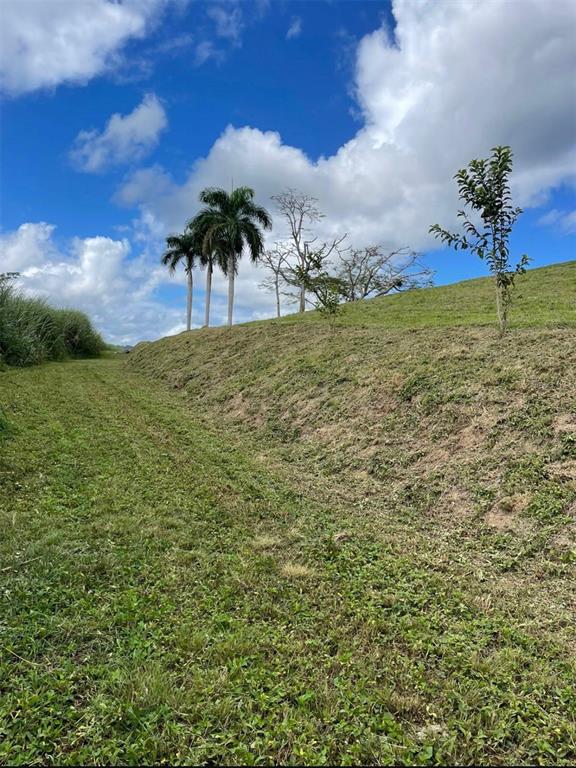 Route 159, Corozal - 32