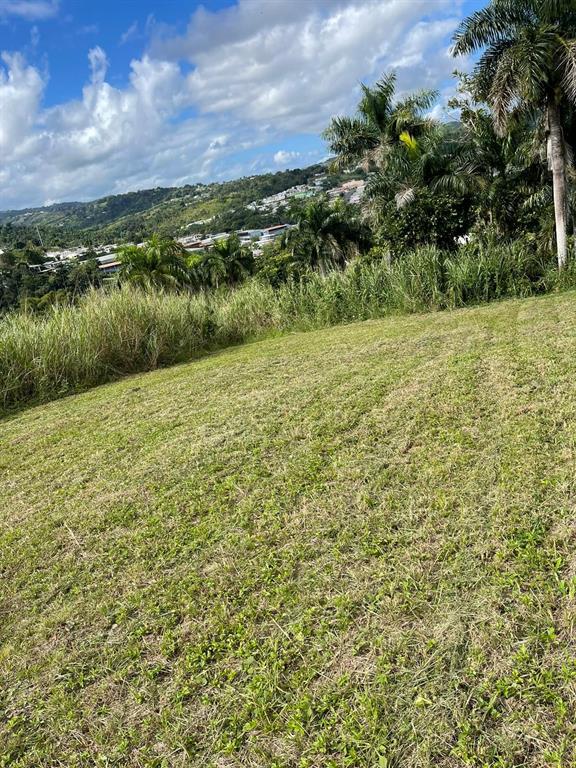 Route 159, Corozal - 38