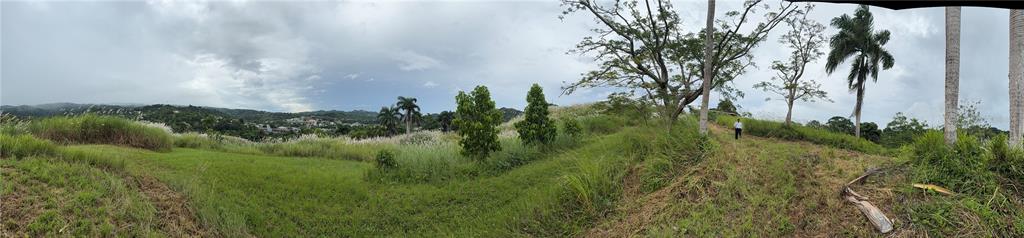 Route 159, Corozal - 4