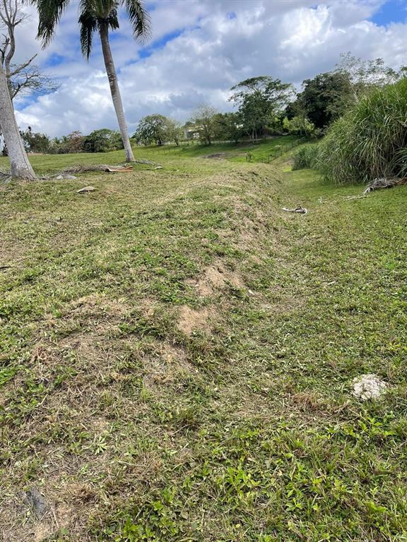 Route 159, Corozal - 40