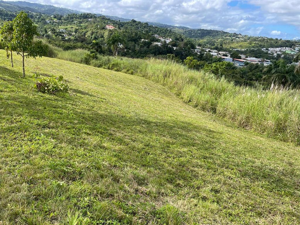 Route 159, Corozal - 42