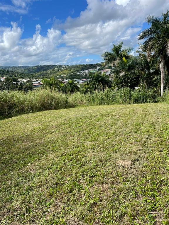 Route 159, Corozal - 44
