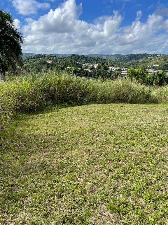 Route 159, Corozal - 45