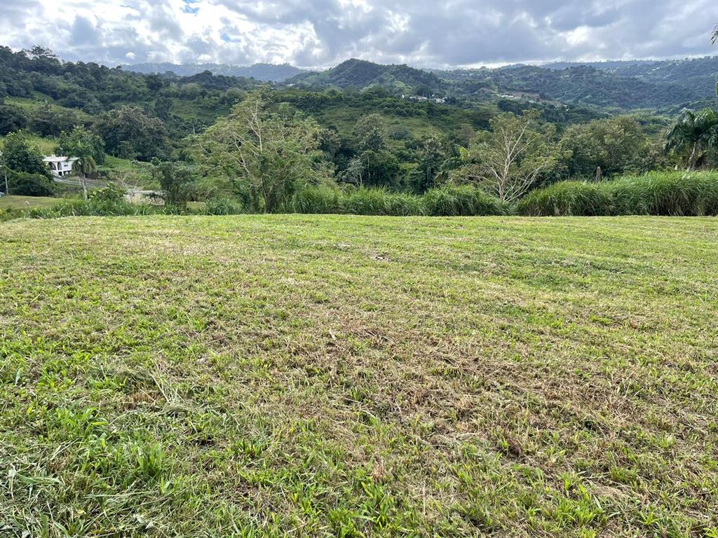 Route 159, Corozal - 46