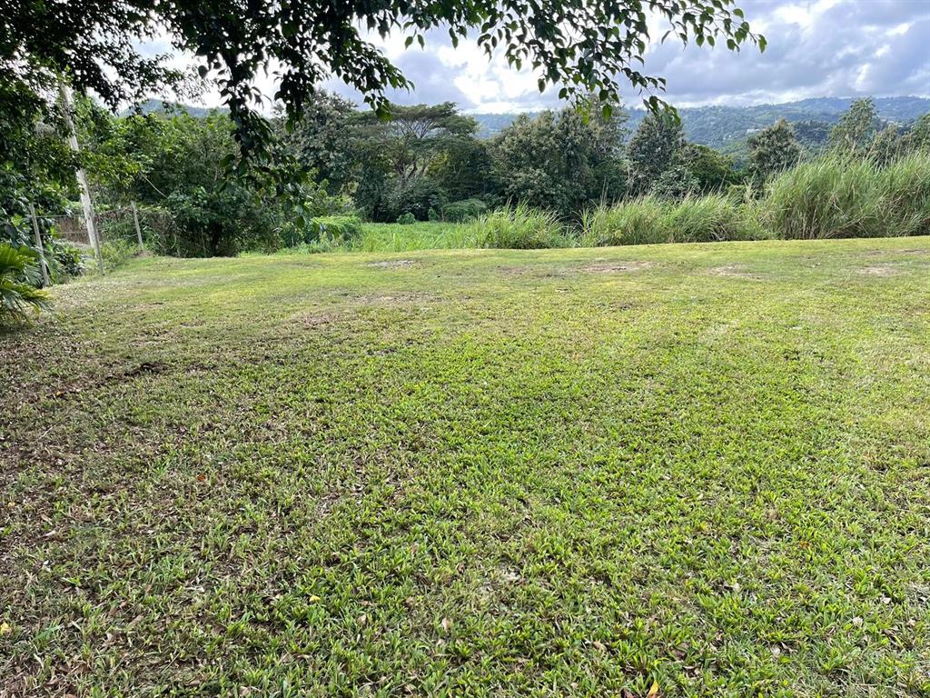 Route 159, Corozal - 48
