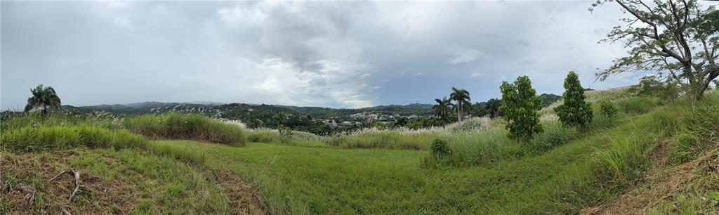 Route 159, Corozal - 5