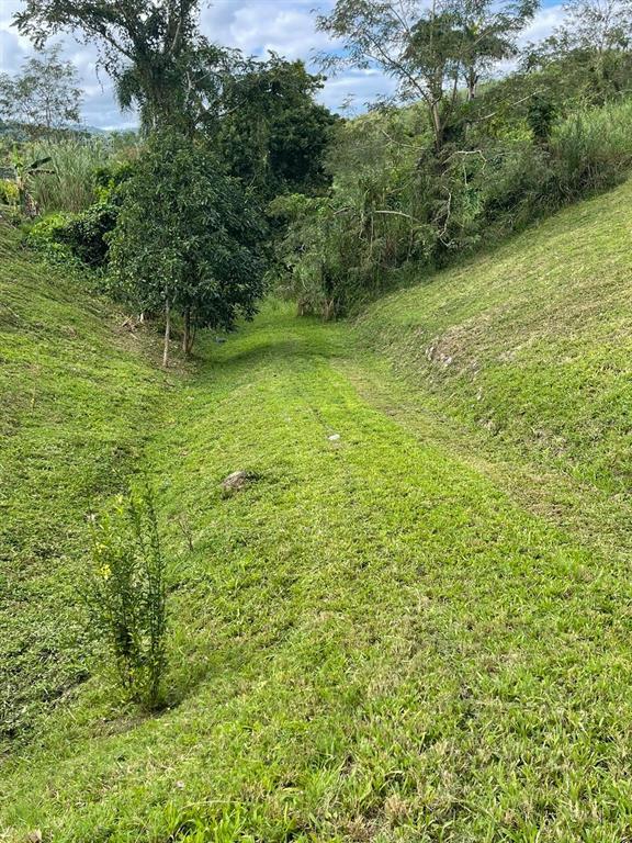 Route 159, Corozal - 50