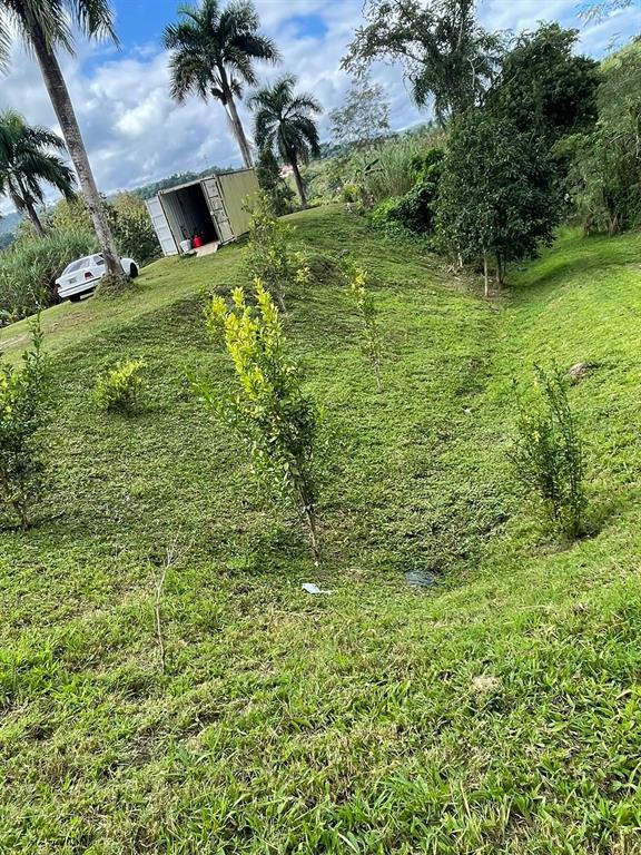 Route 159, Corozal - 52
