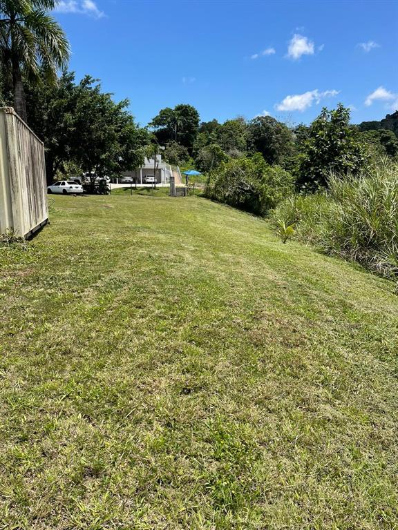 Route 159, Corozal - 57