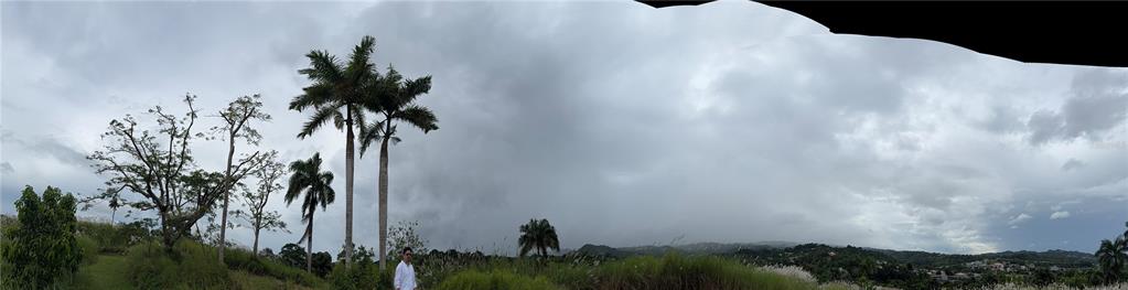 Route 159, Corozal - 6