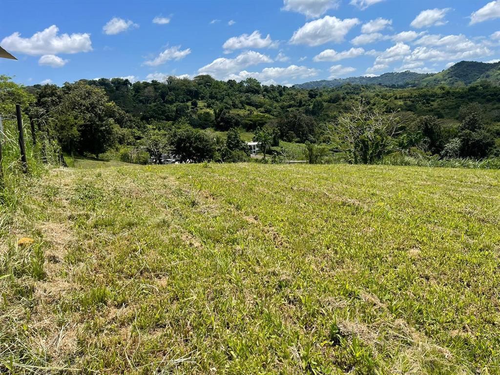 Route 159, Corozal - 62