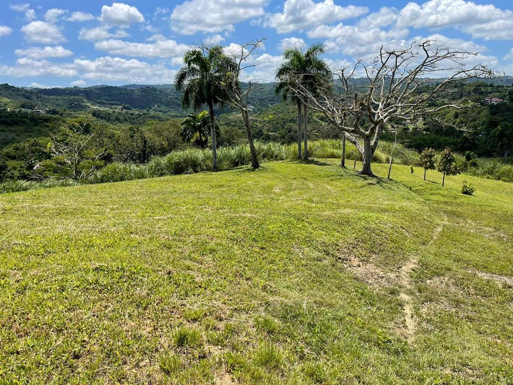 Route 159, Corozal - 63