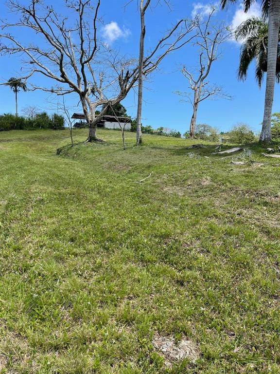 Route 159, Corozal - 64