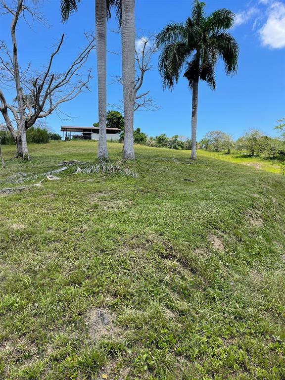 Route 159, Corozal - 66