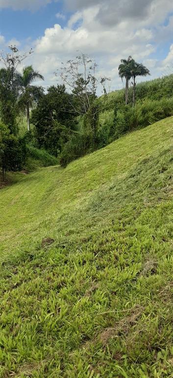 Route 159, Corozal - 67