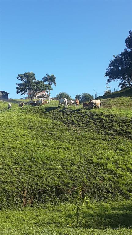 Route 159, Corozal - 69