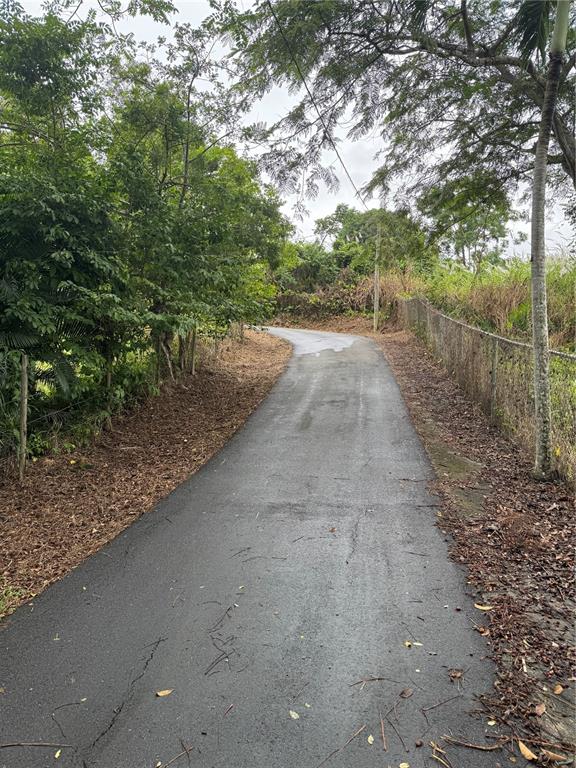 Route 159, Corozal - 7