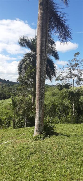 Route 159, Corozal - 75