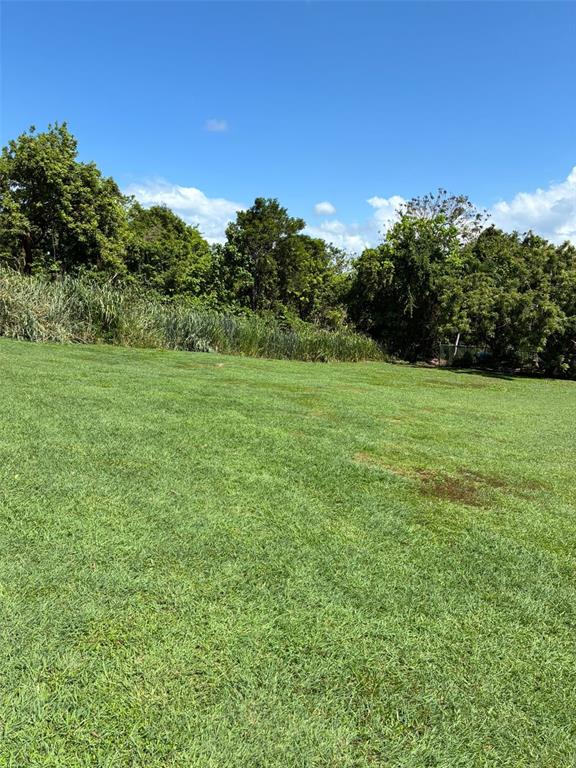 Lot-1 Rd-648 Km 1.0 Int. Tierras Nuevas, Manati - 2