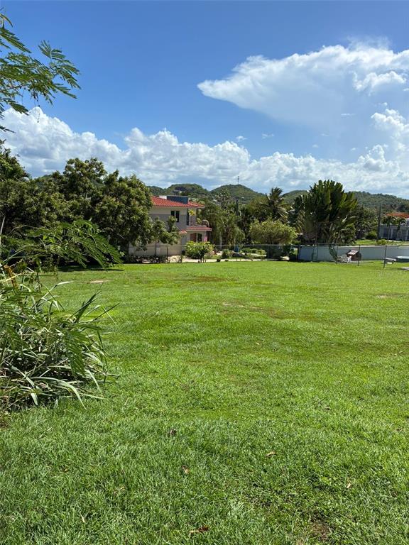 Lot-1 Rd-648 Km 1.0 Int. Tierras Nuevas, Manati - 3