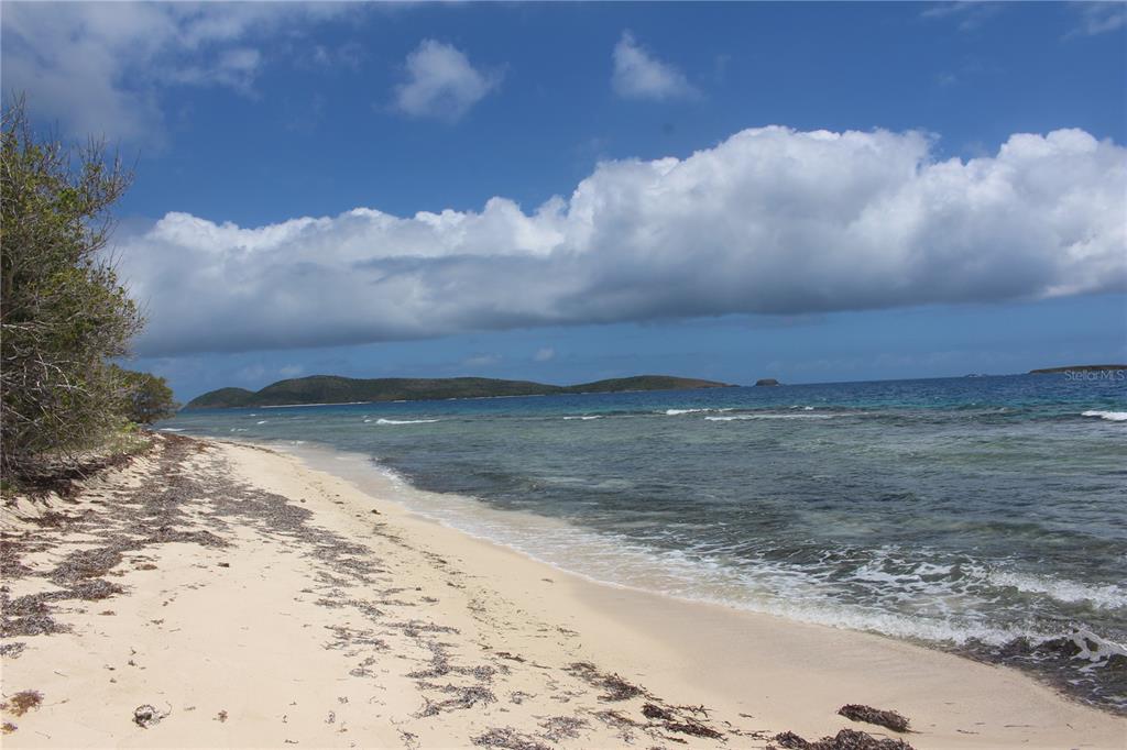 250 Zoni, Playa Larga, Culebra - 1