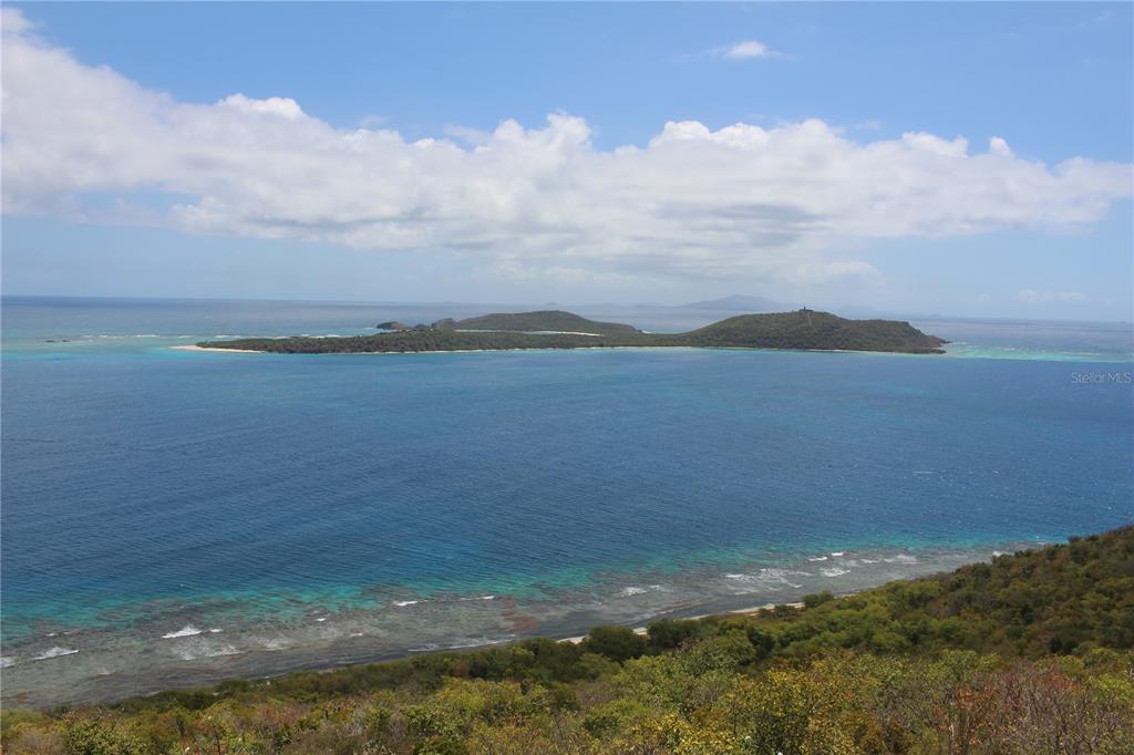 250 Zoni, Playa Larga, Culebra - 3