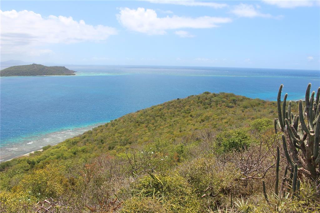 250 Zoni, Playa Larga, Culebra - 4