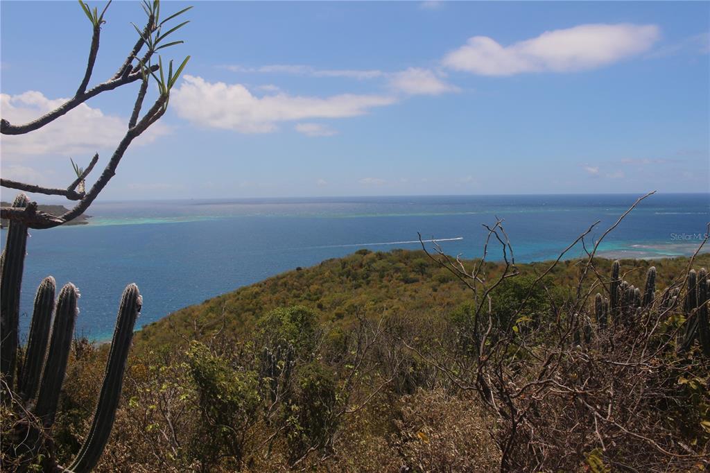 250 Zoni, Playa Larga, Culebra - 5