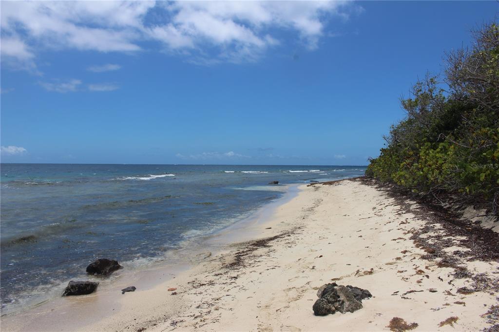 250 Zoni, Playa Larga, Culebra - 6