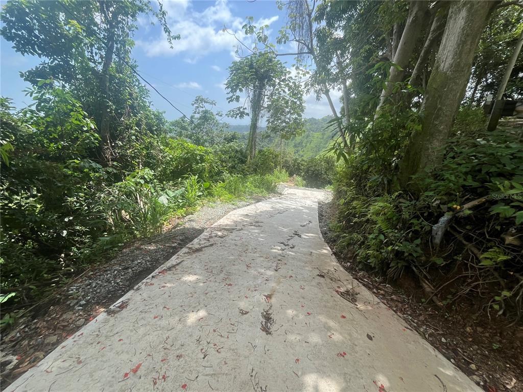 Km 19.9, Carr 128, Yauco - 10