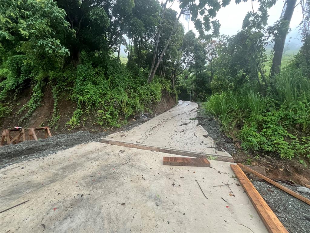 Km 19.9, Carr 128, Yauco - 11