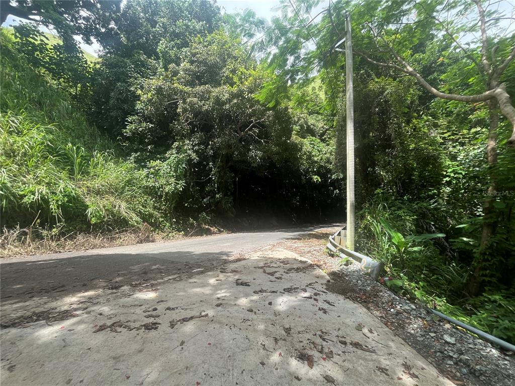 Km 19.9, Carr 128, Yauco - 13