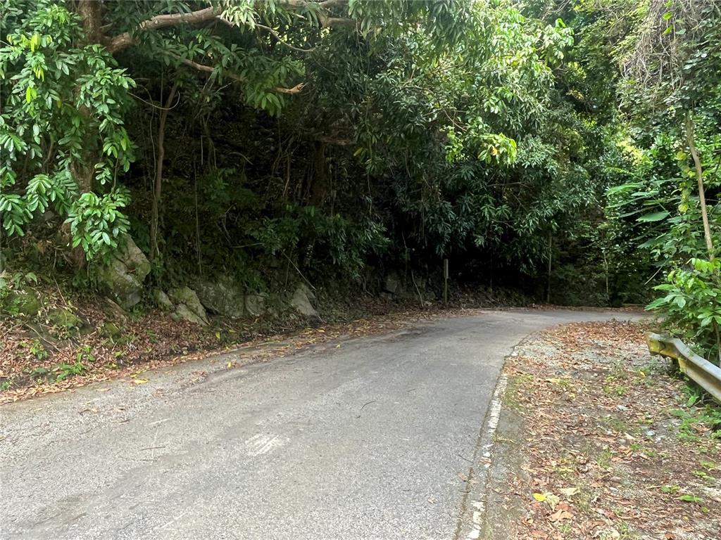 Km 19.9, Carr 128, Yauco - 14