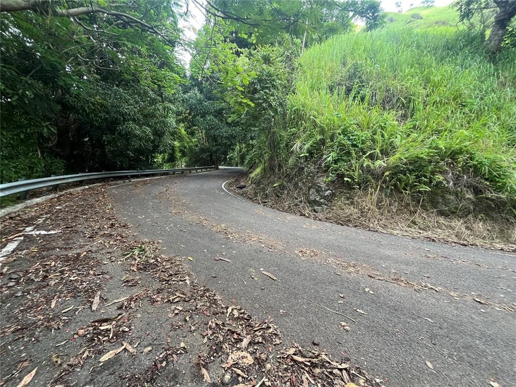 Km 19.9, Carr 128, Yauco - 15
