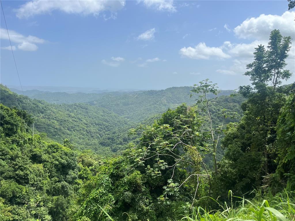 Km 19.9, Carr 128, Yauco - 4