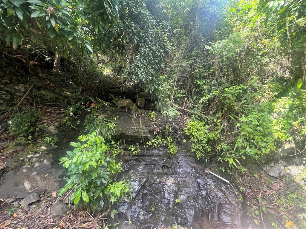 Km 19.9, Carr 128, Yauco - 7