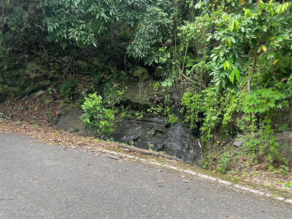 Km 19.9, Carr 128, Yauco - 8