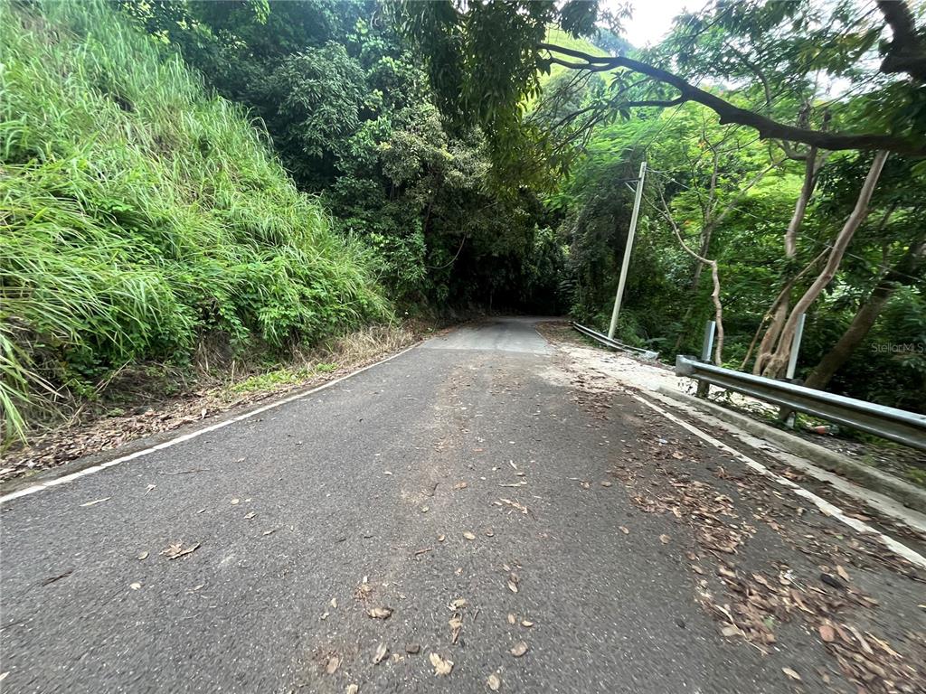 Km 19.9, Carr 128, Yauco - 9