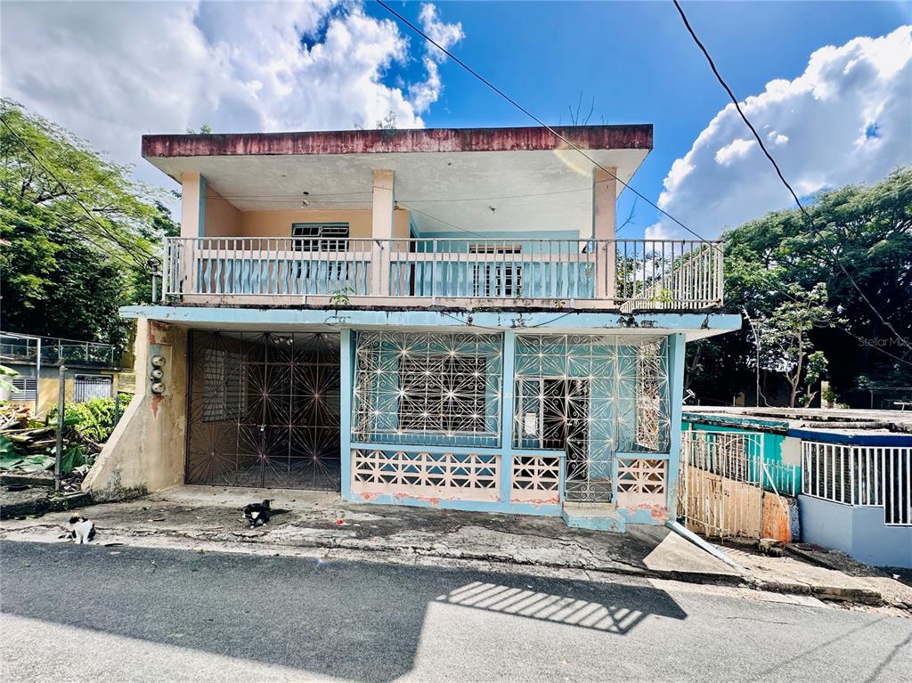 Carr 159, Sostre, Corozal - 1