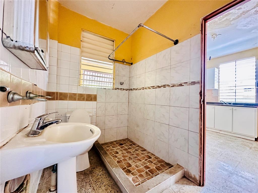 Carr 159, Sostre, Corozal - 15