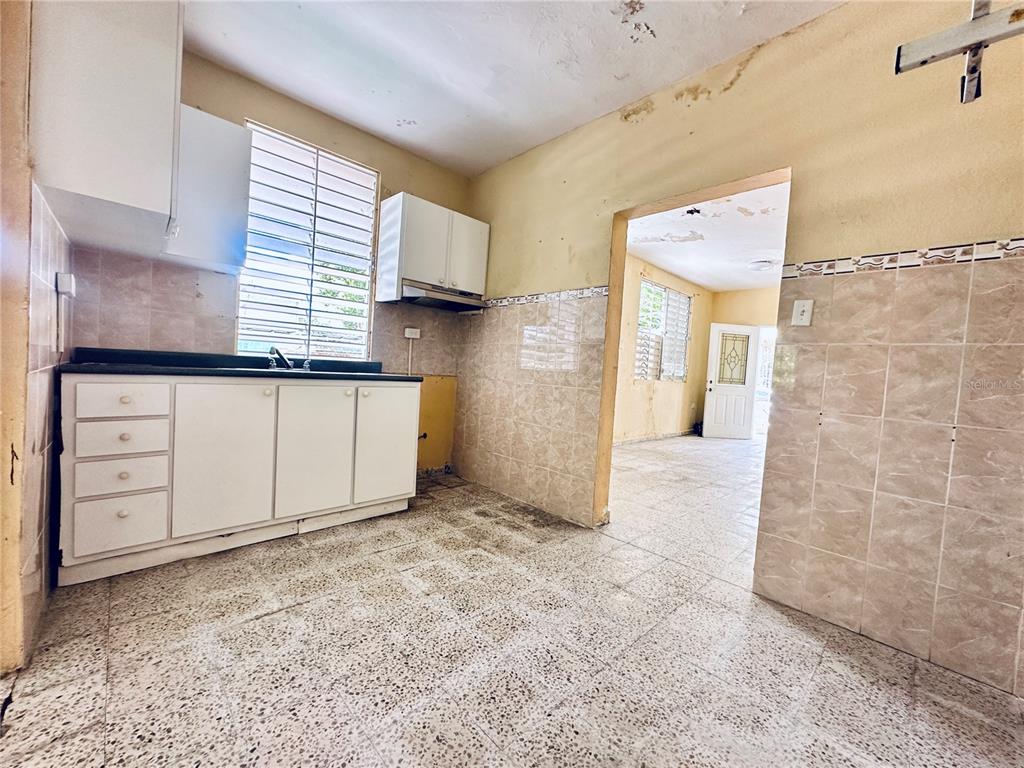 Carr 159, Sostre, Corozal - 18